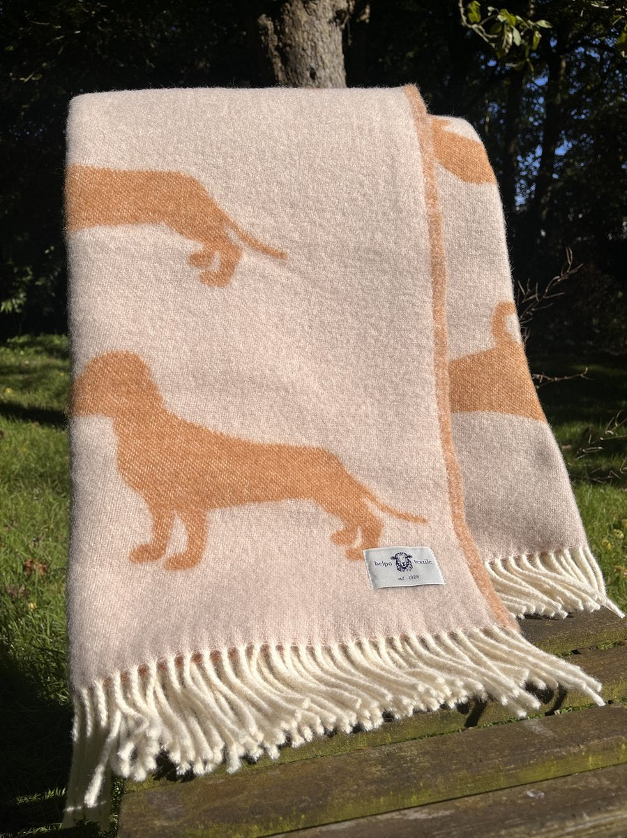 Belpo wollen deken teckel