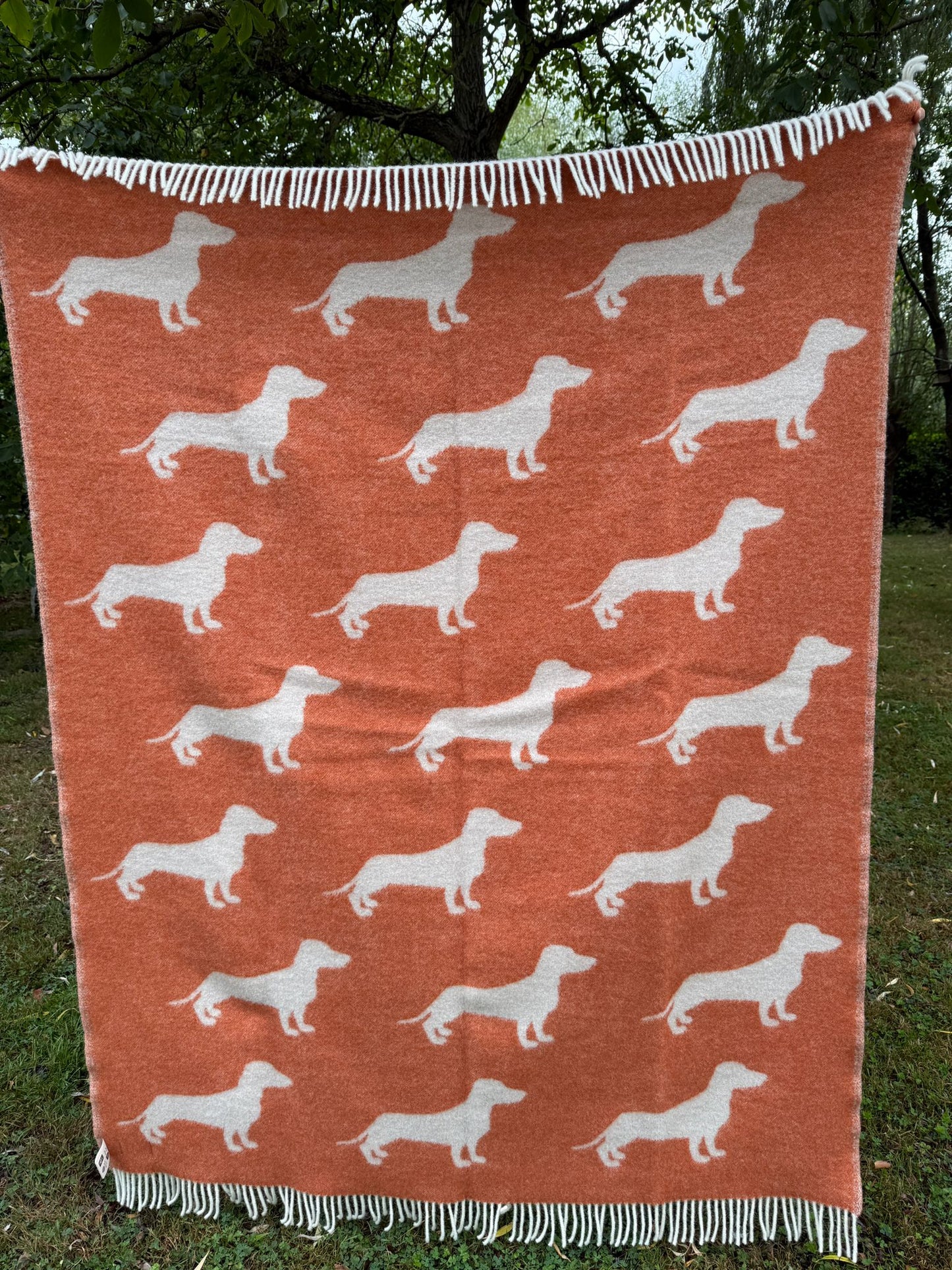 Belpo wollen deken teckel 130 x 170 cm