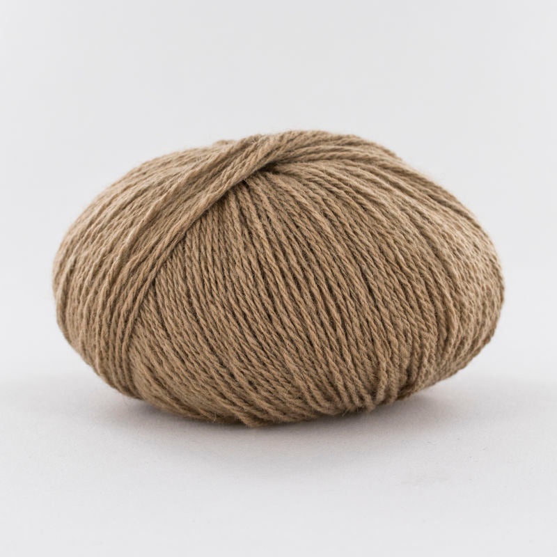 Fonty Camel 31