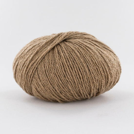 Fonty Camel 31