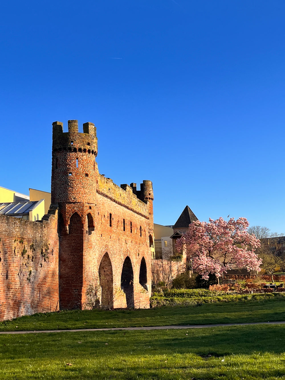 De middeleeuwse Drogenapstoren en stadsmuur in Zutphen, op loopafstand van Ons Lykke — een wolwinkel in hartje Zutphen.